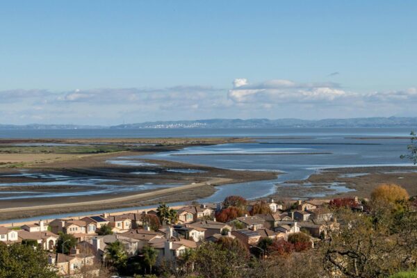 Spring Cleaning Checklist for Bay Area Homes: Flat-Rate + Travel Fee Explained