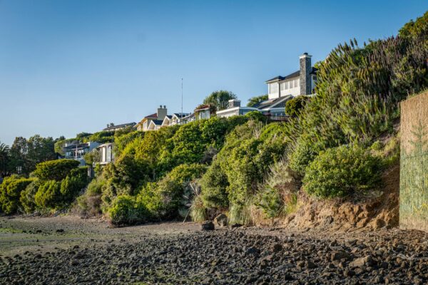 Flat-Rate House Cleaning Pricing in the Bay Area: What Affects the Total?