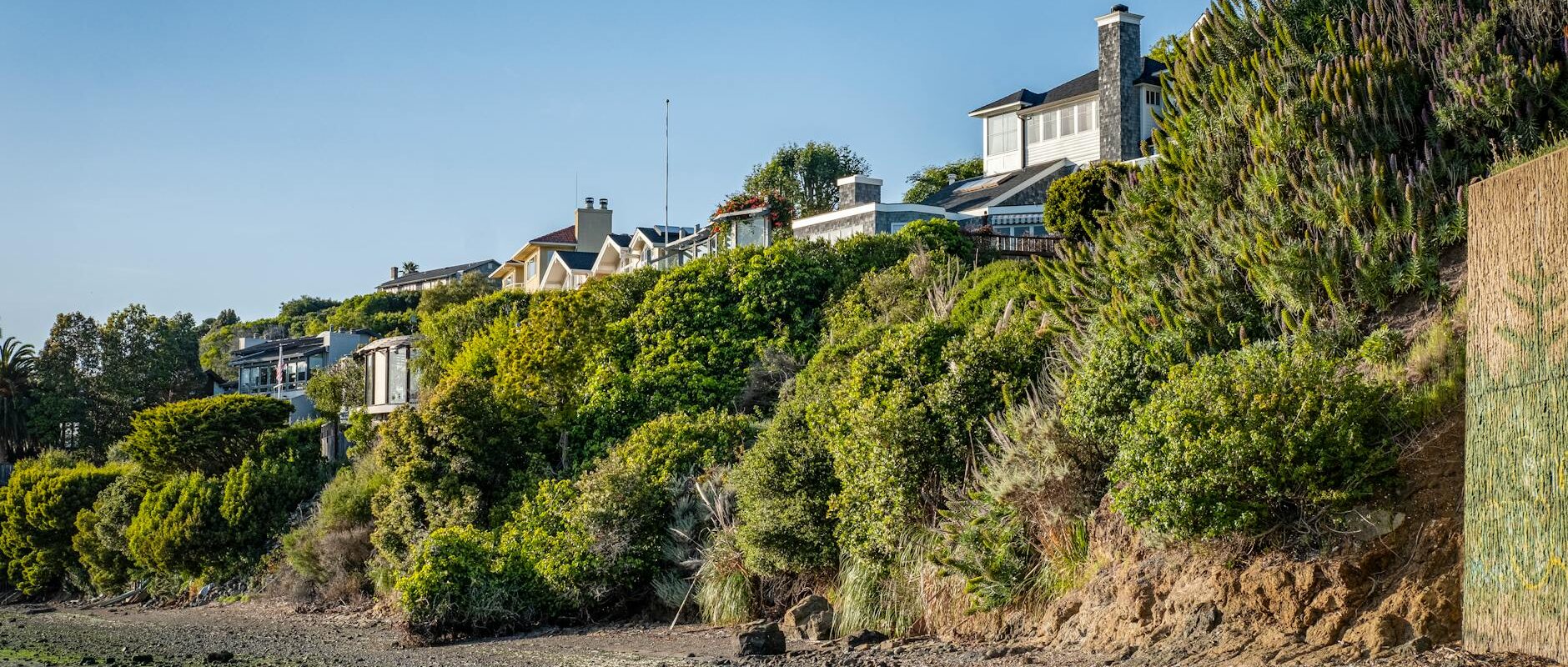 Flat-Rate House Cleaning Pricing in the Bay Area: What Affects the Total?