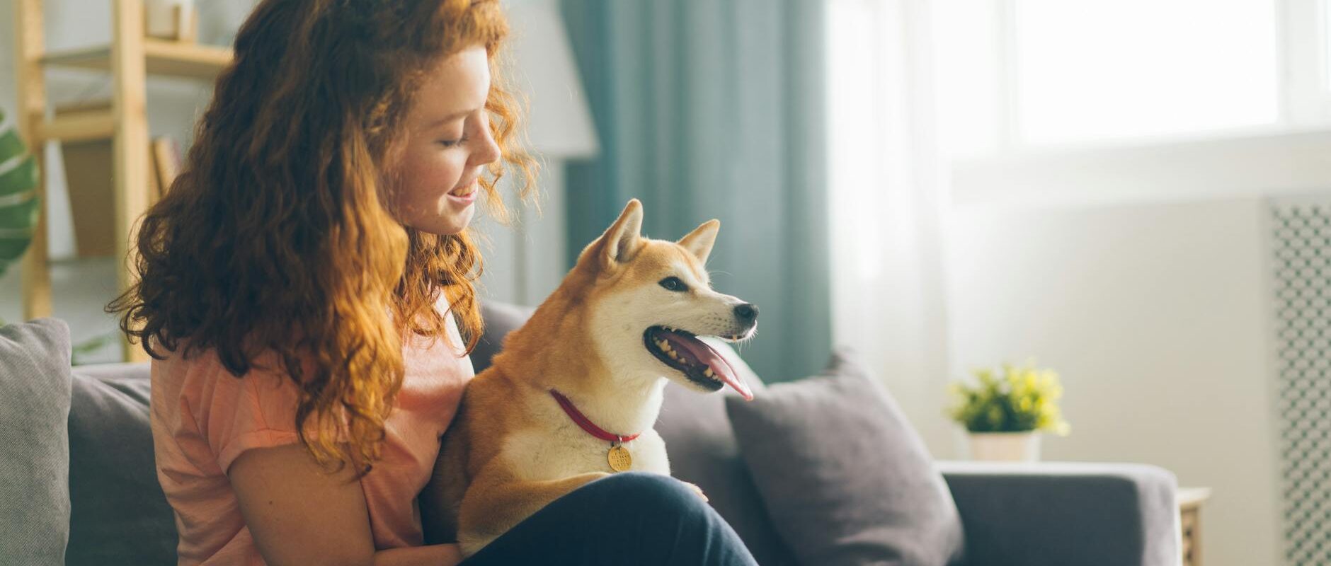 Pet Hair Removal Tips for Homes in Concord and the East Bay