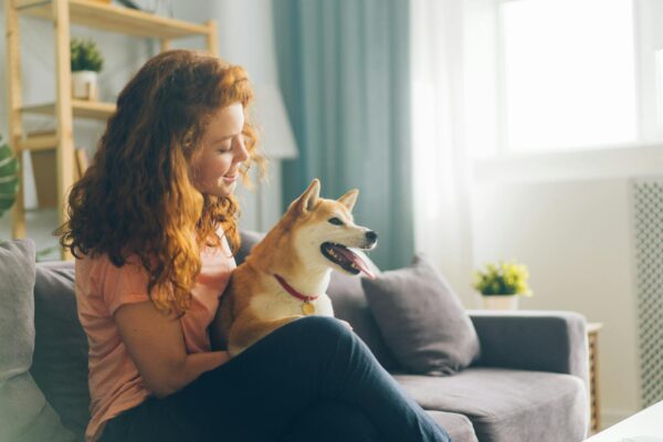 Pet Hair Removal Tips for Homes in Concord and the East Bay
