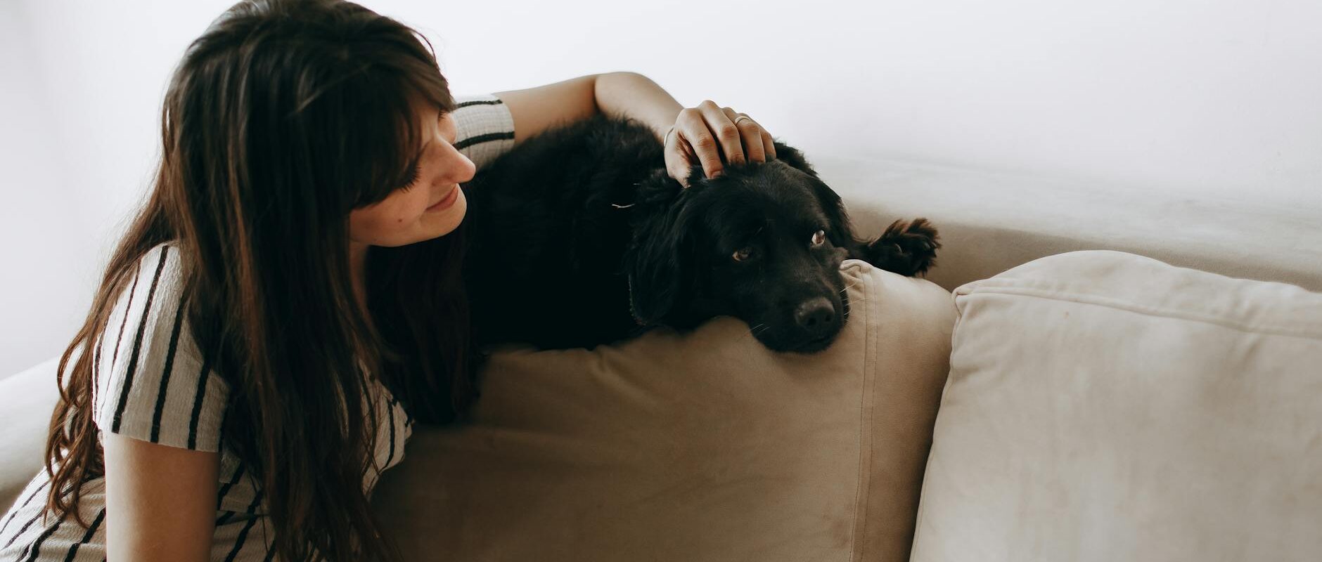 Pet Hair Removal Tips for Homes in Concord and the East Bay