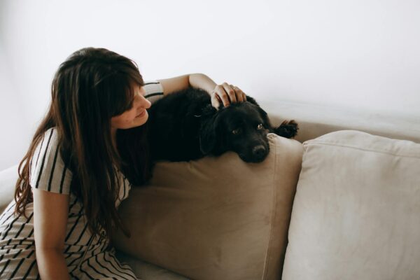 Pet Hair Removal Tips for Homes in Concord and the East Bay