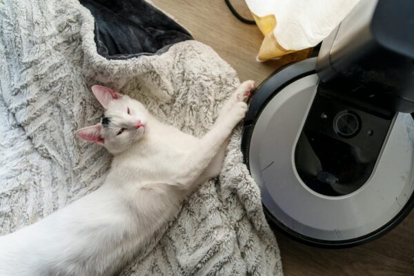 Pet Hair Removal Tips for Homes in Concord and the East Bay