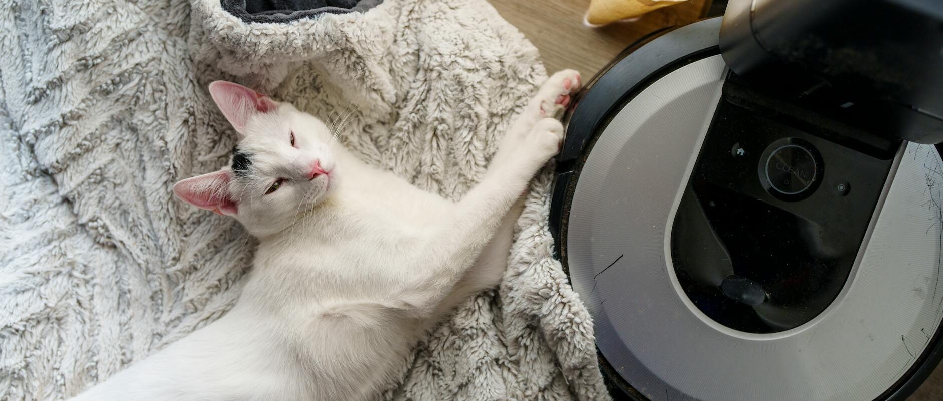 Pet Hair Removal Tips for Homes in Concord and the East Bay