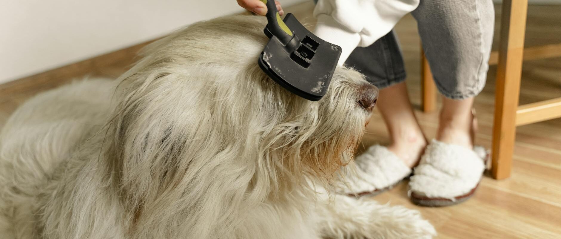 Pet Hair Removal Tips for Homes in Concord and the East Bay