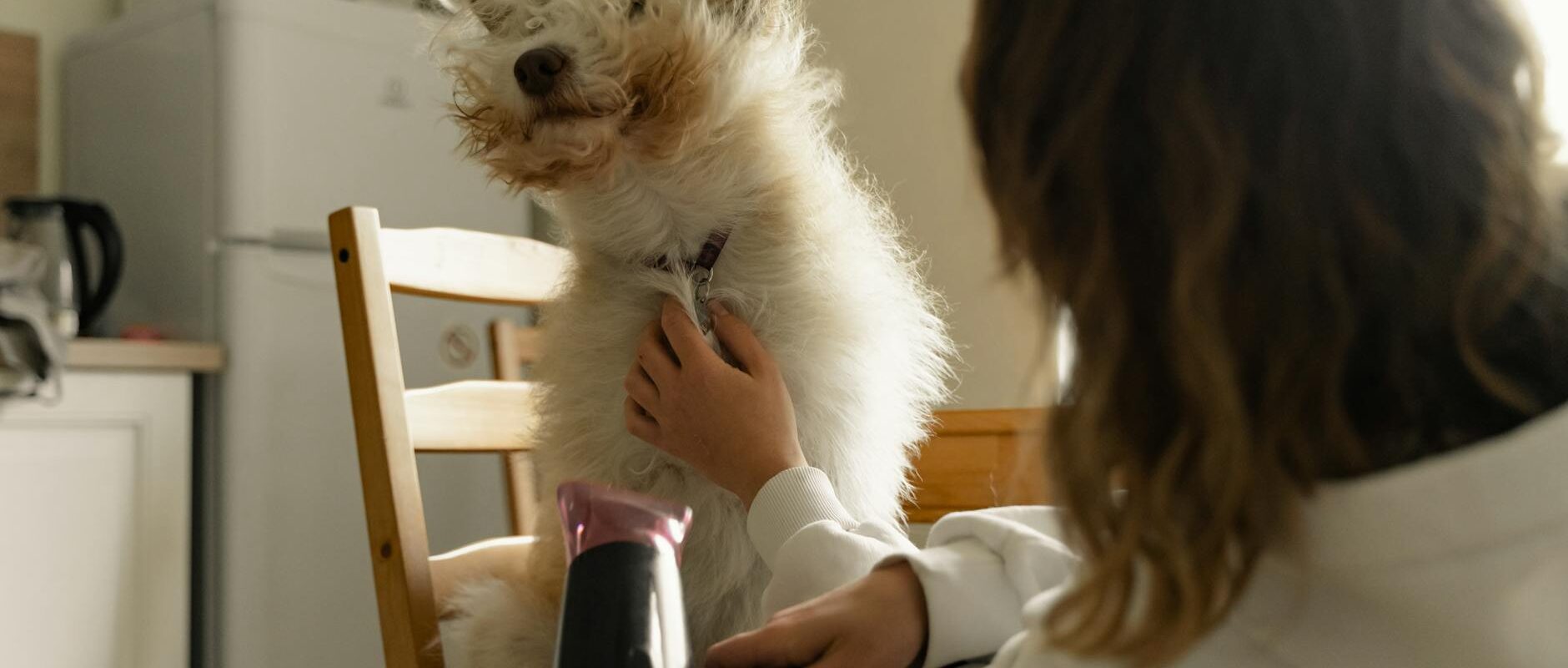 Pet Hair Removal Tips for Homes in Concord and the East Bay